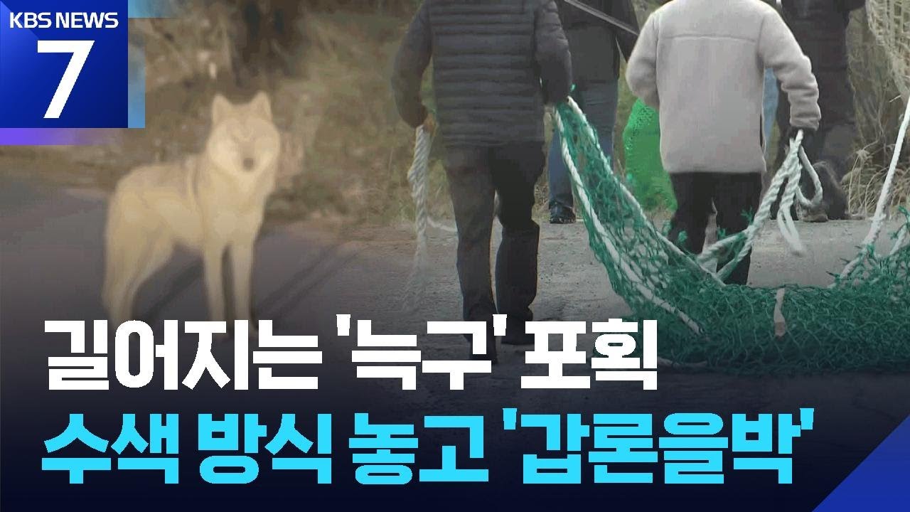 저자극 VS 대규모?&hellip;늑구 수색 방식 &ldquo;기존대로&rdquo; / KBS  2026.04.16.