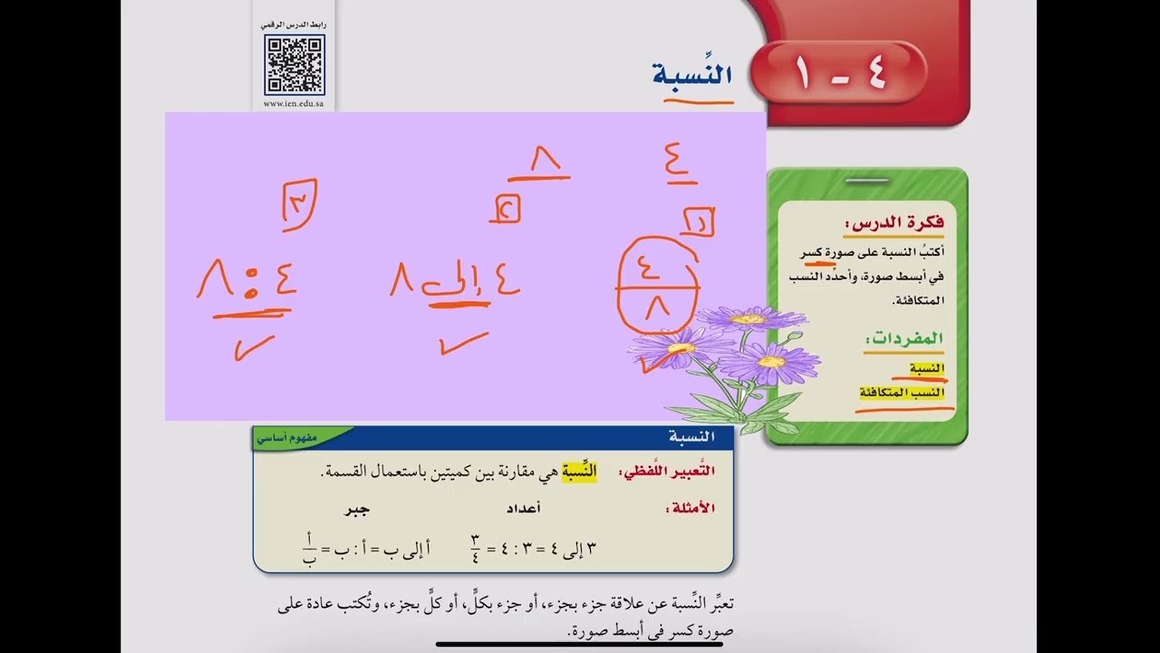 النسبة للصف اول متوسط 