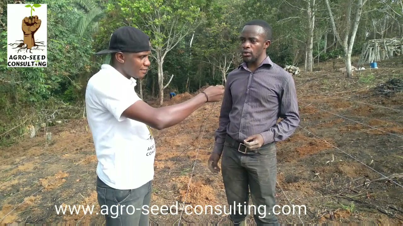 Agriculture Bio: ce jeune Dr Camerounais développe un Biostimulant efficace et accessible à tous