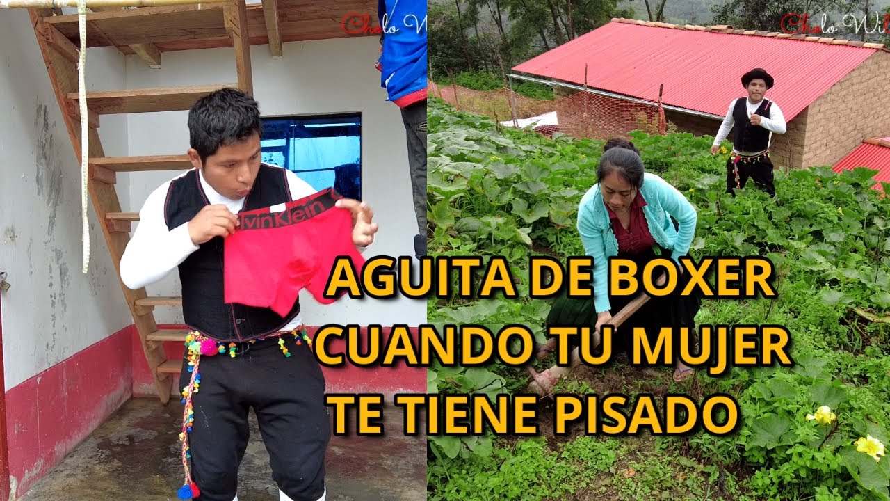 AGUITA DE BOXER .CUANDO TU MUJER TE GOBIERNA EN CASA