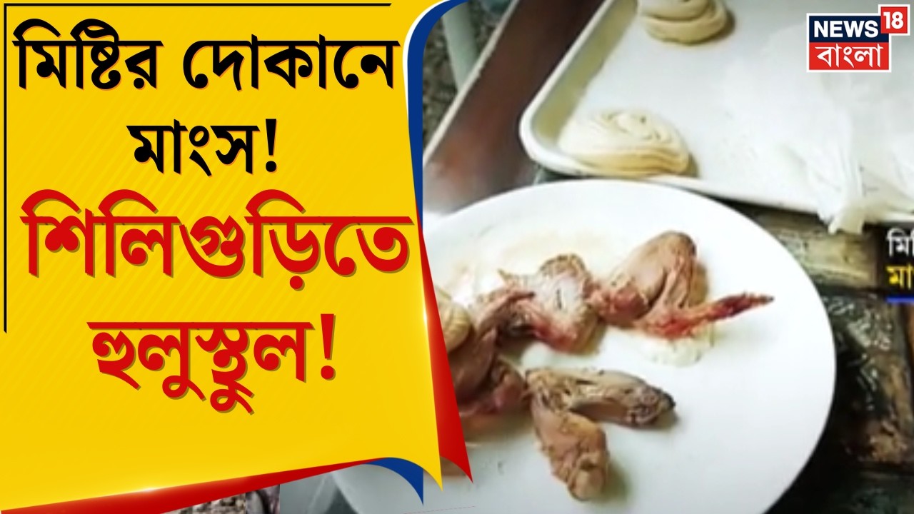Siliguri News | পুজোর মিষ্টির দোকানে মাংস! Food Safety দপ্তরের অভিযানে চক্ষু চড়কগাছ | Bangla News