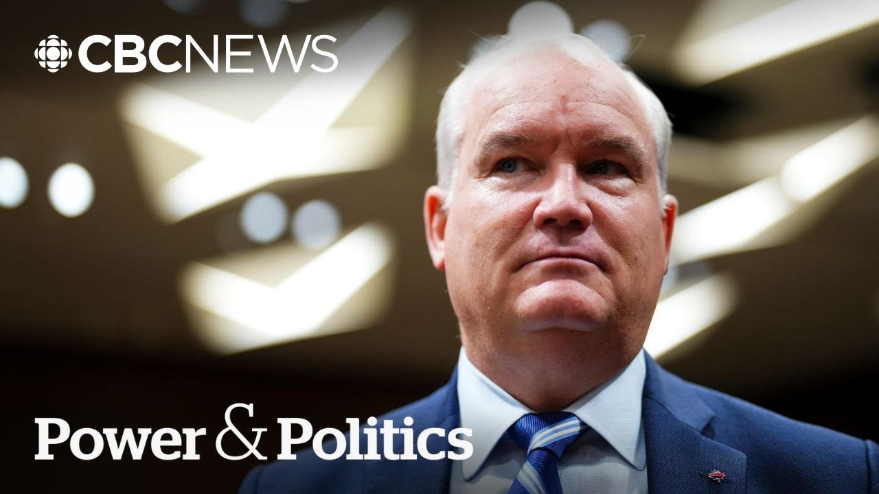 O’Toole says Trump has ‘profound misunderstanding’ after calling NATO ‘cowards’ | Power & Politics