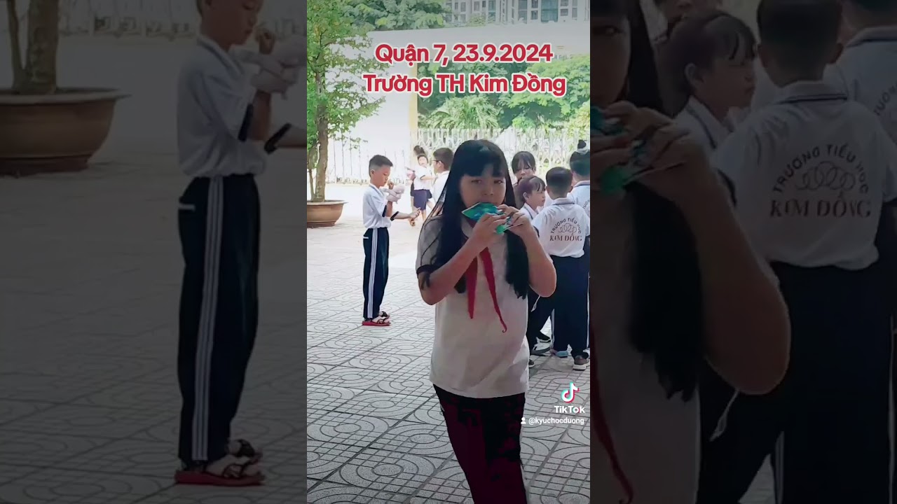 Trường Tiểu Học Kim Đồng