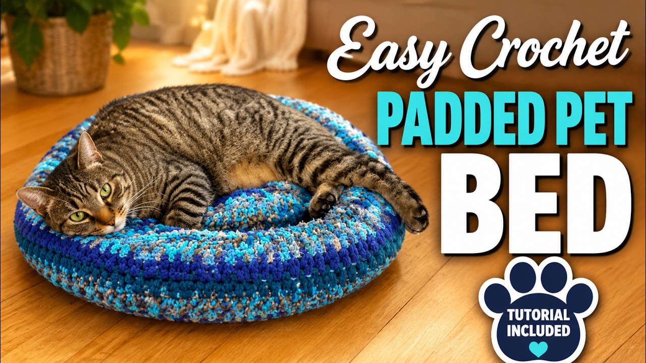 Crochet Padded Rim Pet Bed | EASY | The Crochet Crowd