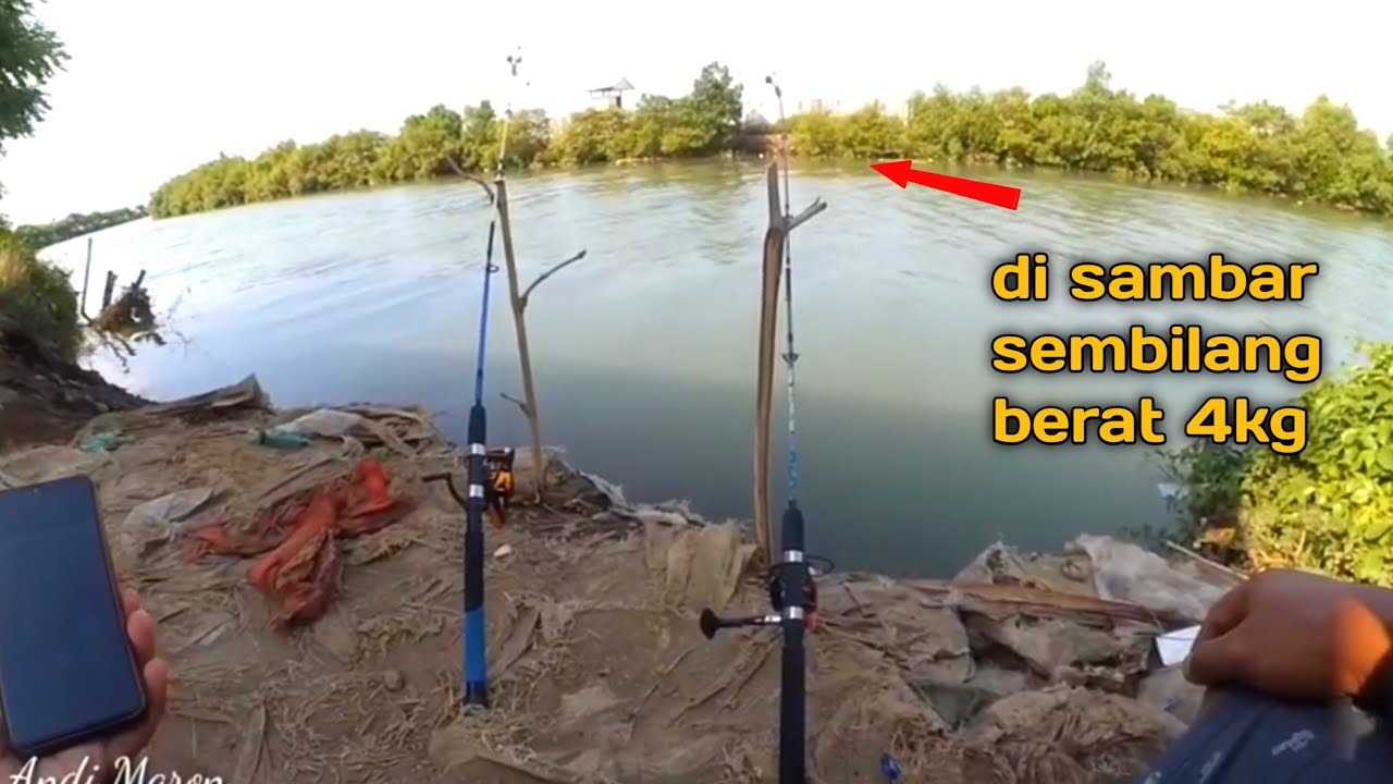 Baru Kali Ini Strike Ikan Sembilang Sebesar Ini