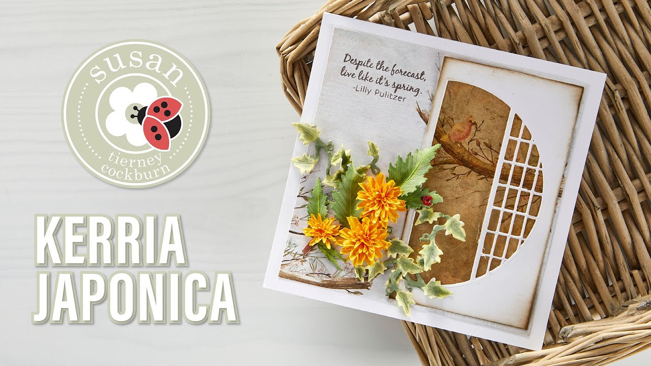 Spellbinders Kerria Japonica from Susan's Spring Flora by Susan Tierney-Cockburn How-To