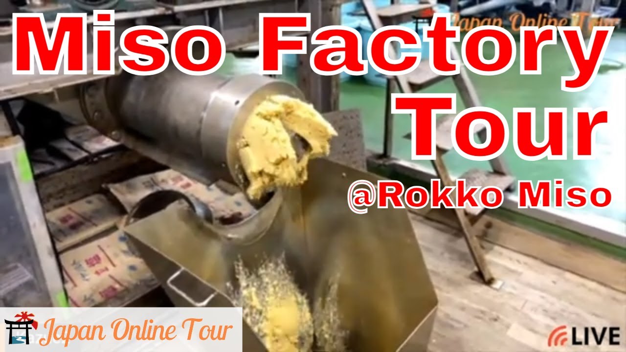 Japanese Superfood: Miso factory tour! ~Learn how Miso is made【Japan Online Tour】| みそ工場見学ツアー