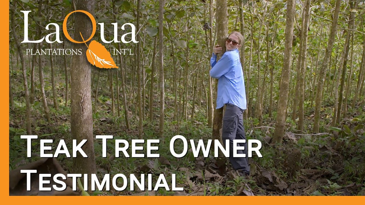 LaQua Plantations -  Teak Tree Owner Comes to Belize