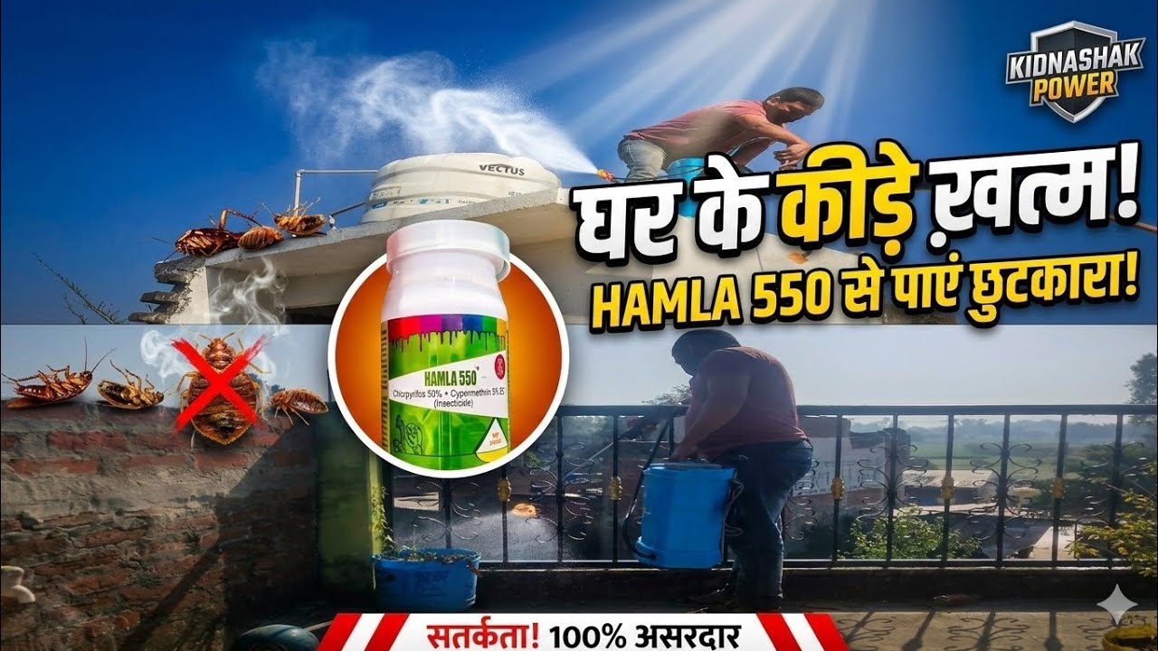 मेरे हस्बैंड ने किया पूरे घर पर कीटनाशक दवाई का छिड़काव 🪳ll कीड़े से बहुत ही ज्यादा परेशान हो गई थी😰