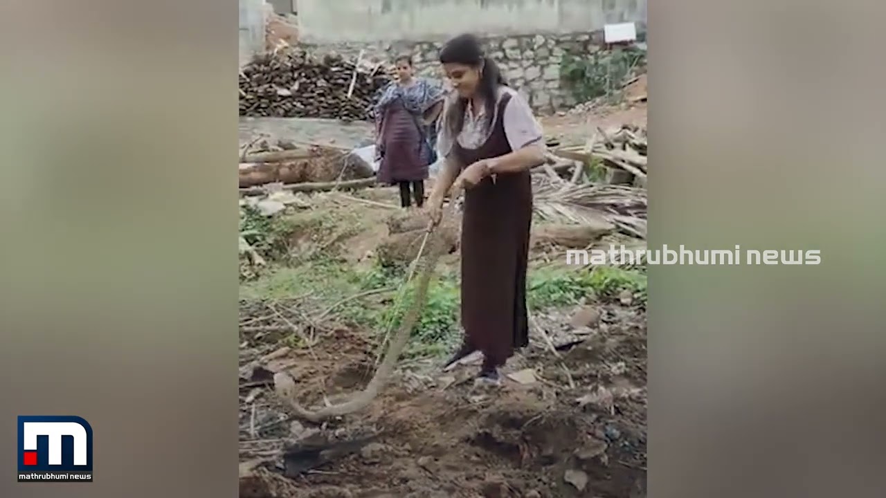പാമ്പിനെ പേടിക്കേണ്ട, സുരക്ഷിതമായി പിടിക്കാൻ രോഷ്നിയെത്തും | Snake catcher | Roshni | Forest officer