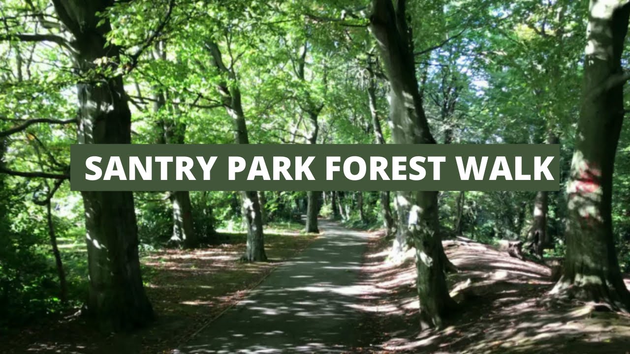 Summer Walk in Santry Park Forest in DUBLIN
