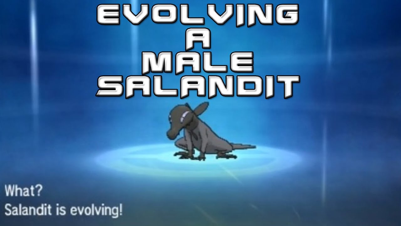 Evolving a Male Salandit in Pokemon Sun and Moon