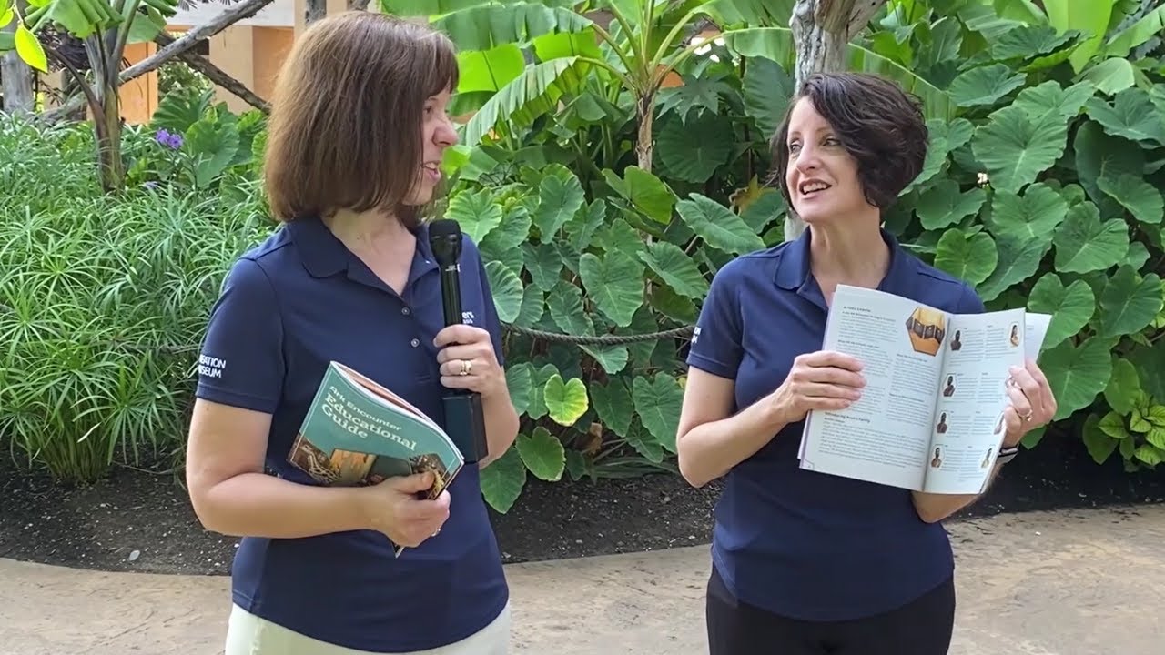 Homeschooling with Ark Encounter Educational Guides