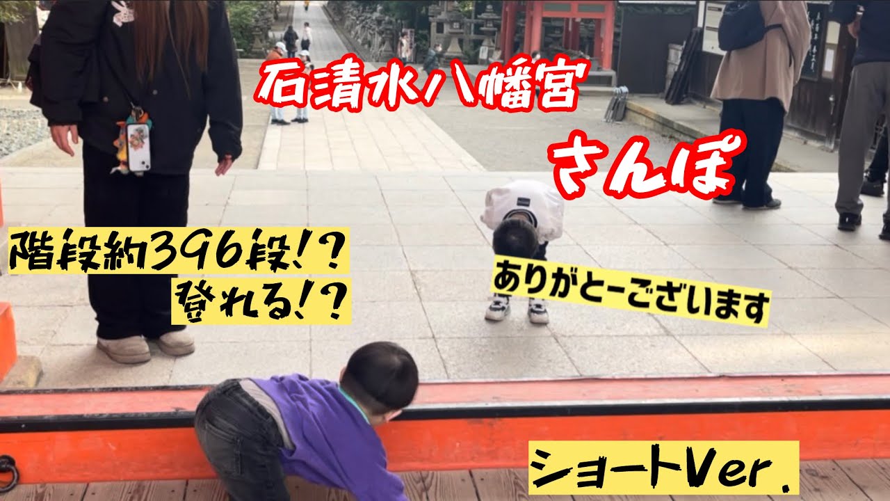 石清水八幡宮パワースポット階段396段登れる？！（ショートVer）