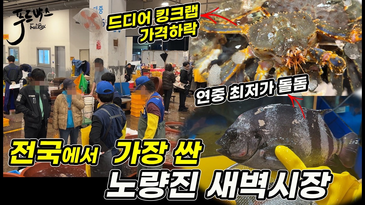 전국에서 가장 싼 노량진 새벽시장~  연중 최저가 돌돔.. 드디어 킹크랩가겨이 하락세~ 노량진수산시장  20260414