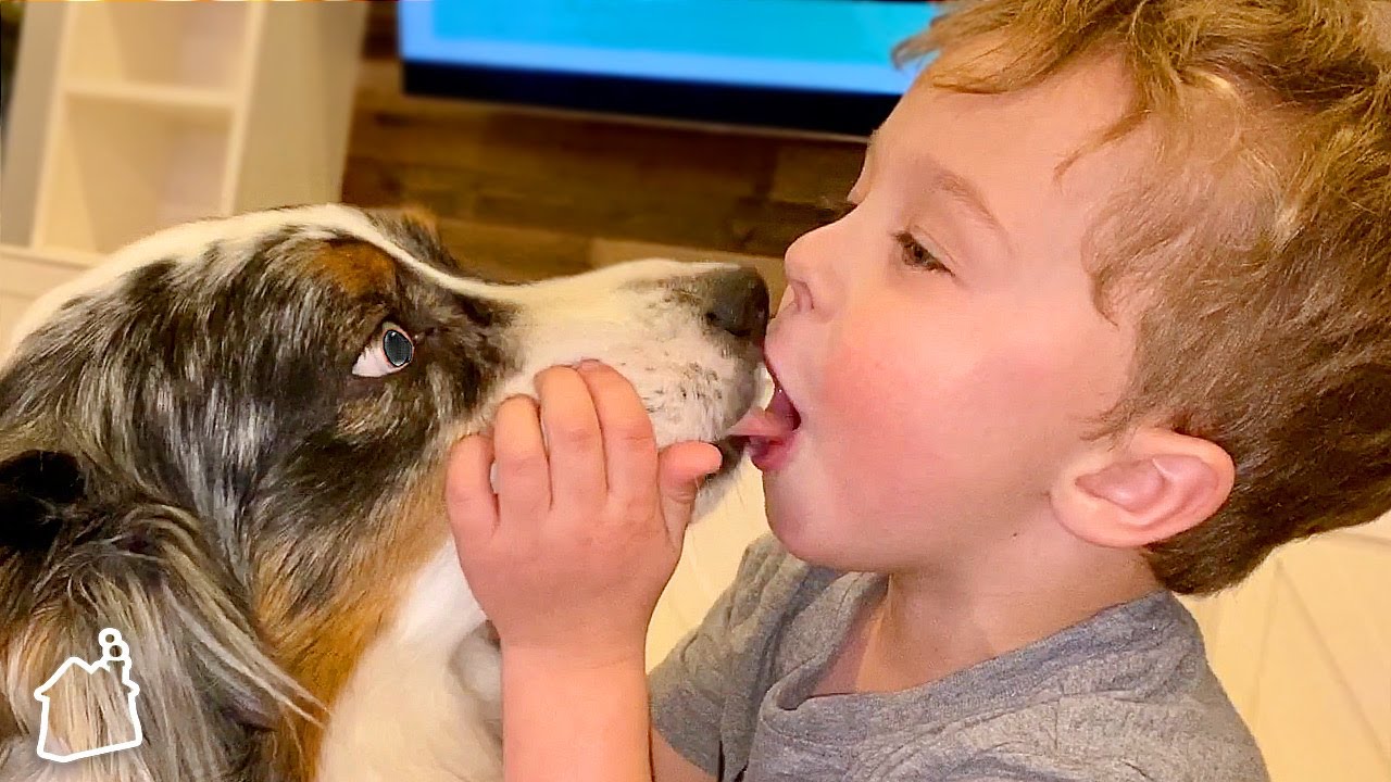 Caught Kissing The Dog!