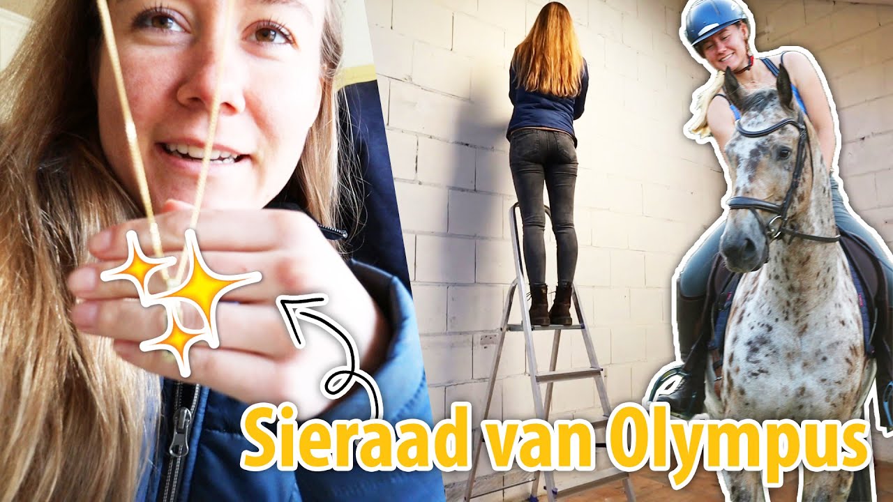 Sieraad van Olympus binnen & verder met de zadelkamer! | felinehoi VLOG #324