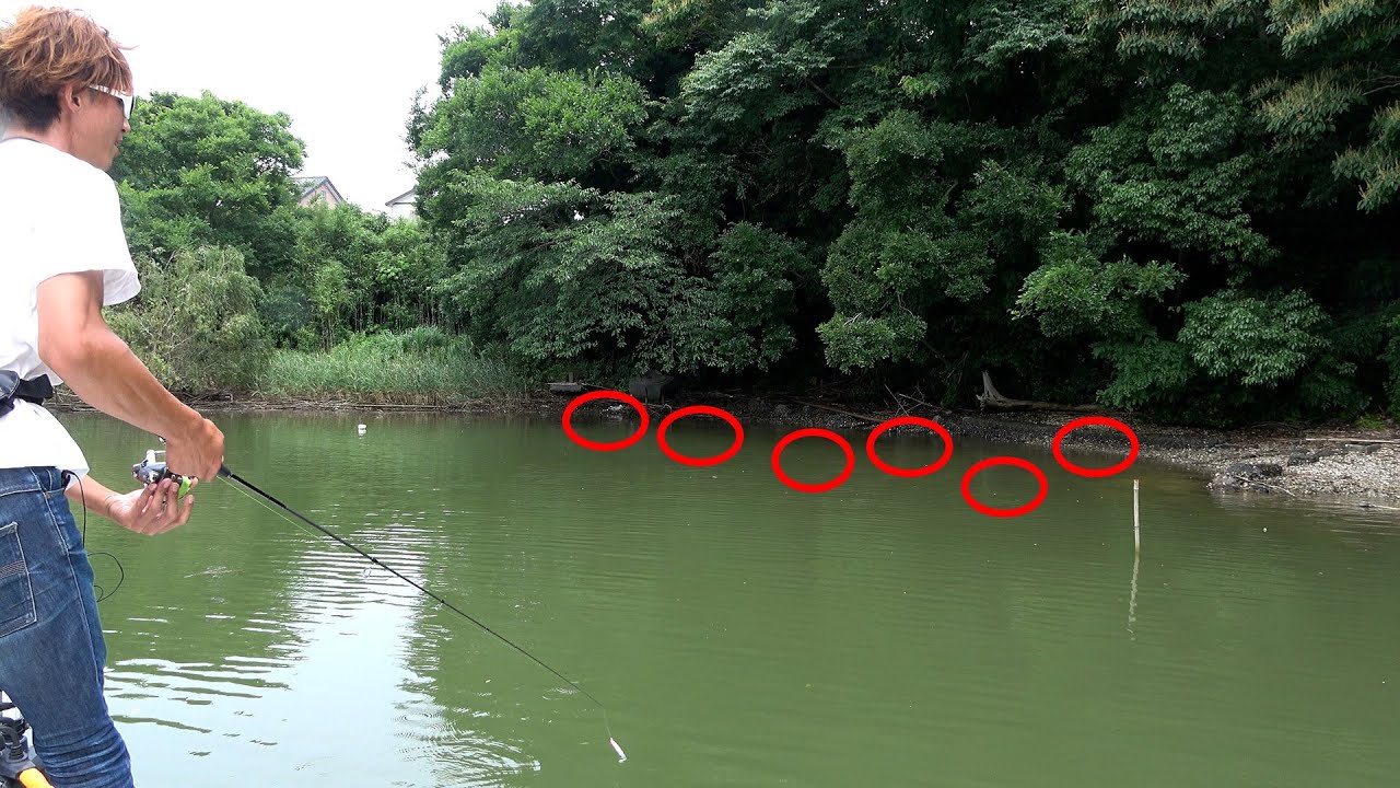 最新の浜名湖トップチヌってもはやバス釣りです