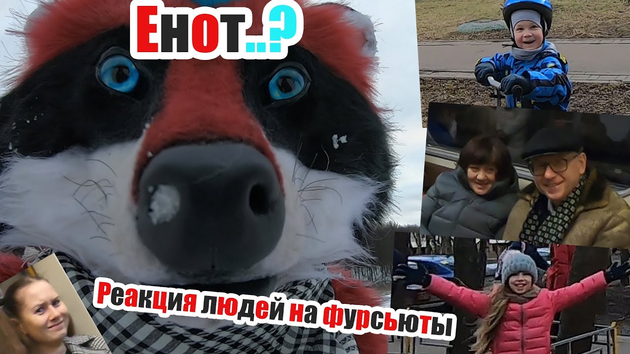 Енот..? Реакция людей на фурсьюты