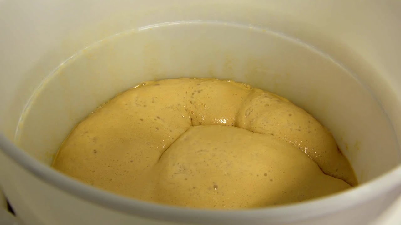 Our Brewing Process: 7. Fermentation
