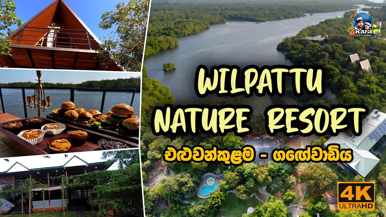 විල්පත්තුවේ නවතින්න හොදම තැන | Wilpattu Nature Resort | Gangewadiya | Eluwankulama @wilpattu