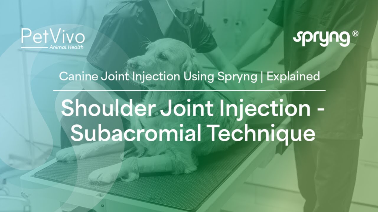 Canine Shoulder Joint Injections | Subacromial Injection Technique Explained