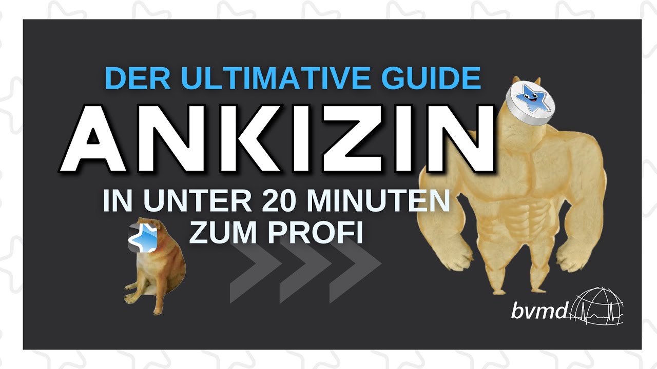 ANKIZIN Tutorial (Deutscher Guide zum Medizin-Deck)