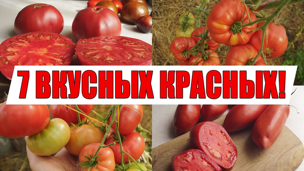 САМЫЕ ВКУСНЫЕ И СЛАДКИЕ ТОМАТЫ!!! ЛУЧШИЕ ПРОВЕРЕННЫЕ КРАСНЫЕ И РОЗОВЫЕ СОРТА, КОТОРЫЕ Я САЖАЛ!