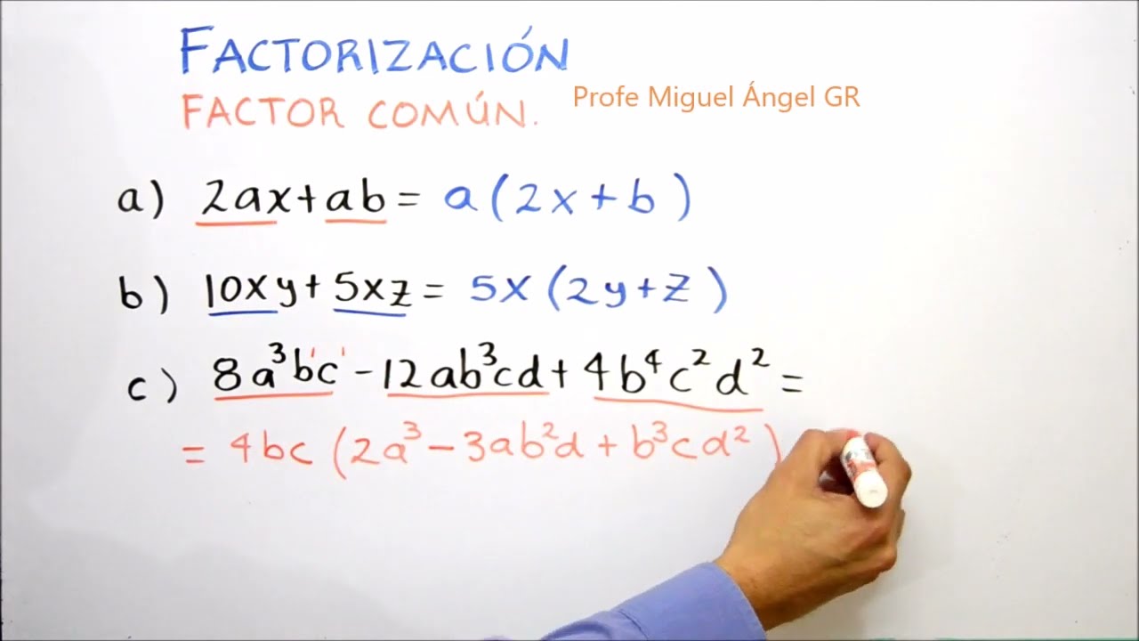 A.10 Factorización. Máximo factor común. Parte 01.
