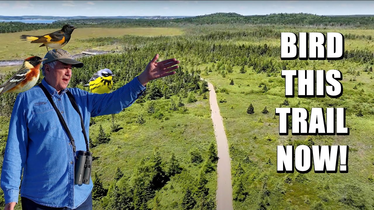 It's a BRAND NEW birding trail nobody knows about.