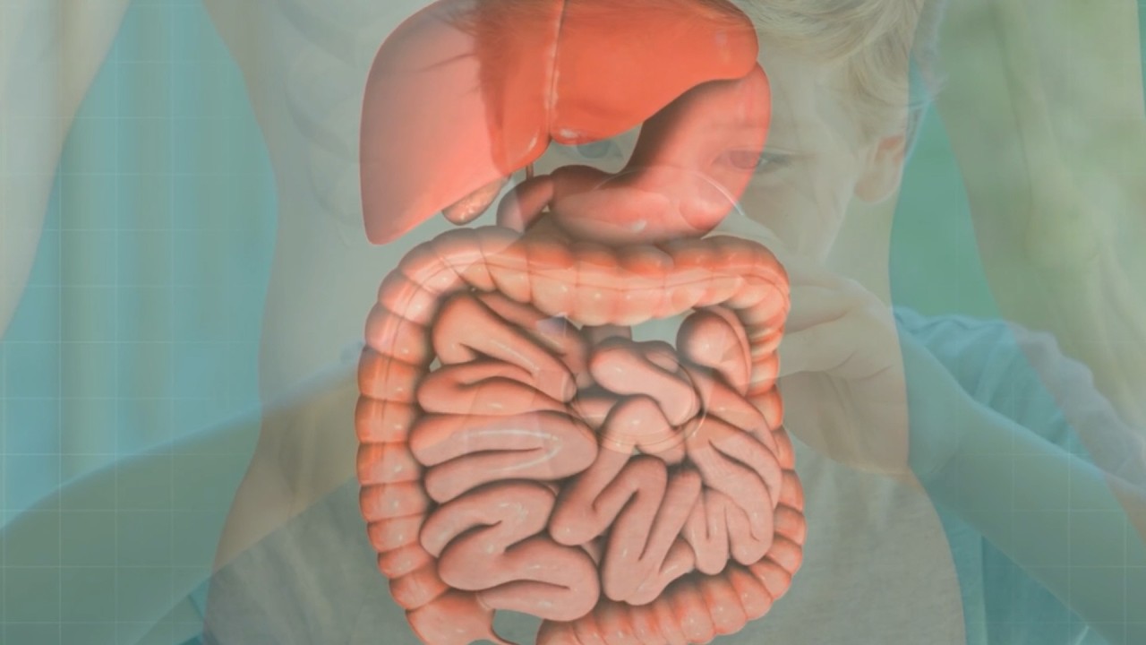 Che differenza c’è fra intolleranze alimentari e allergie?