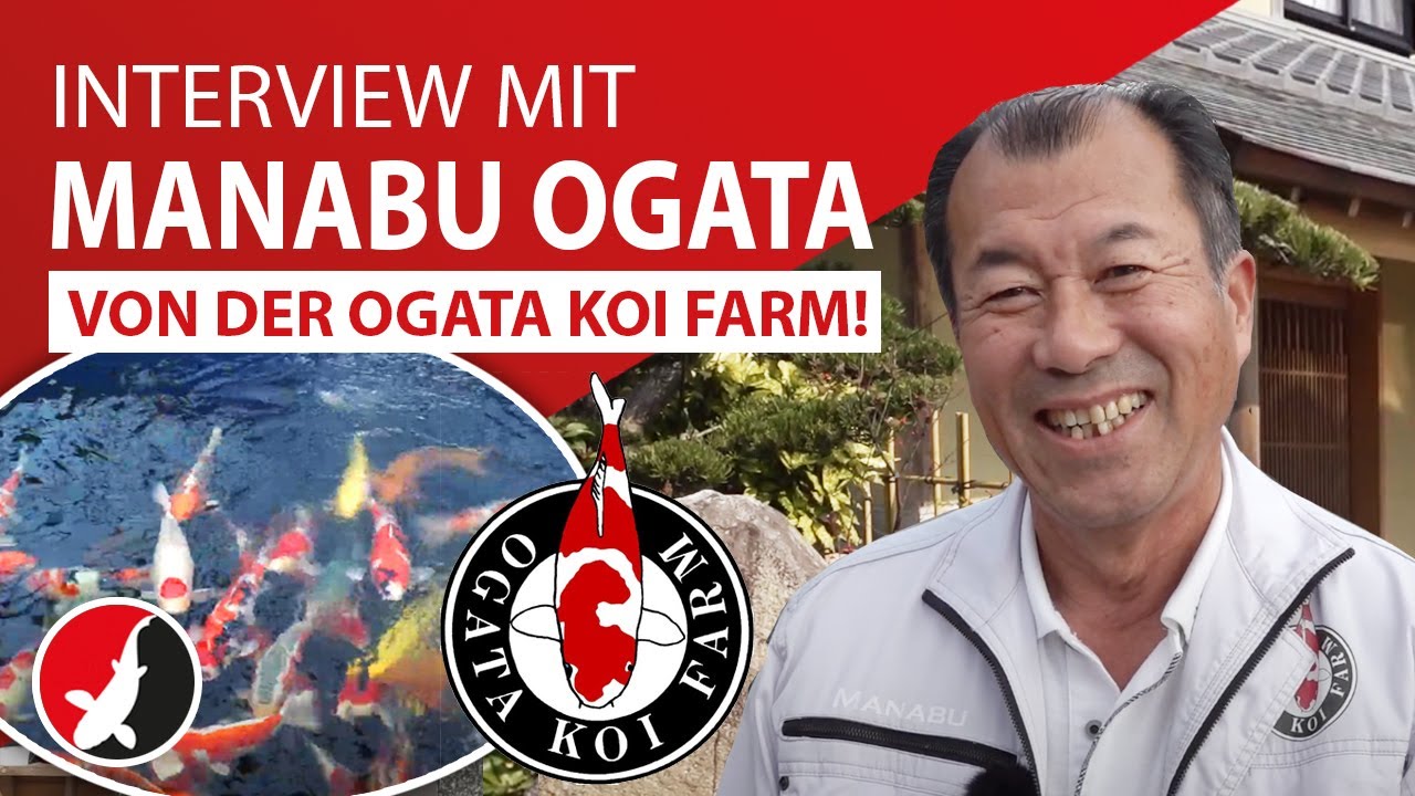 Interview mit Manabu Ogata von der Ogata Koi Farm!