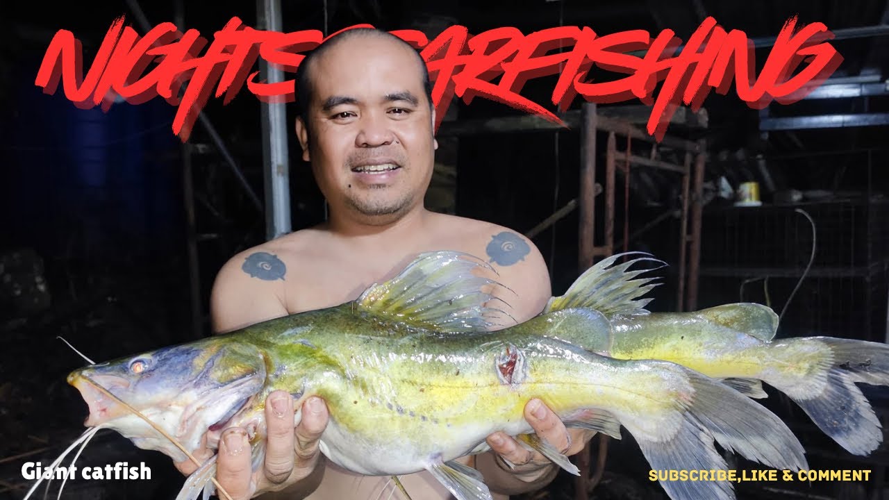 TAK SANGKA DAPAT IKAN MONSTER SEBANYAK INI‼️