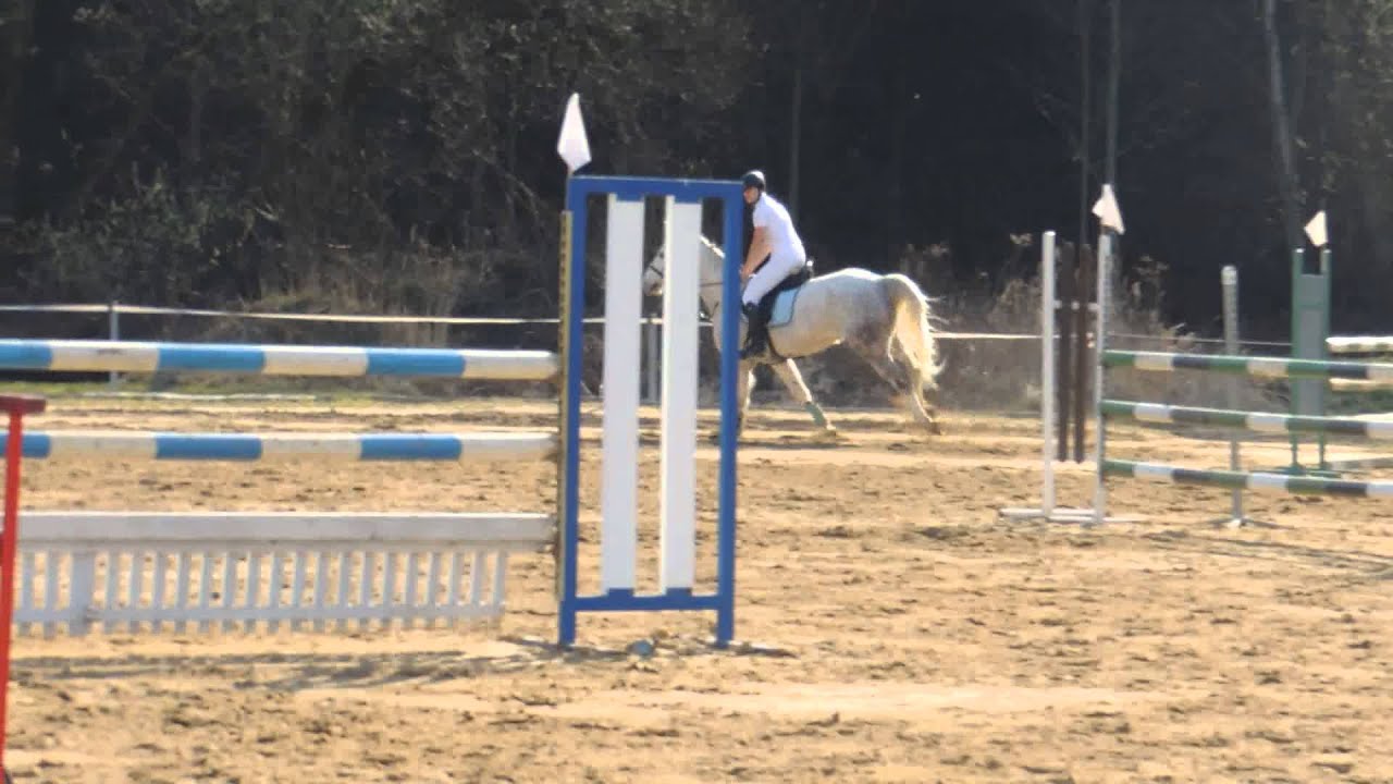 22.3.2014 JK Sviadnov - Denča a Sempre Salito dvouf&aacute;zov&eacute; sk&aacute;k&aacute;n&iacute; 110/110cm