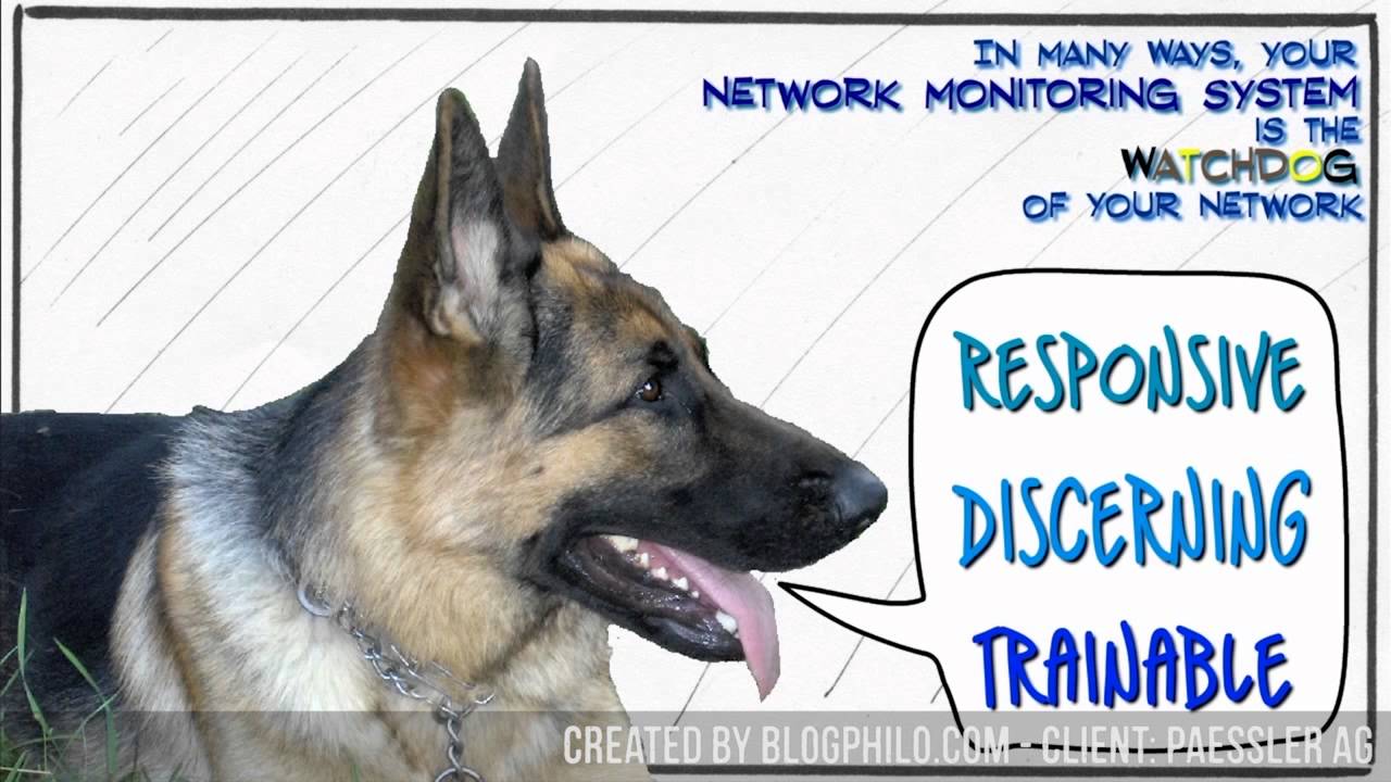 Freelance Work Example: Client: Paessler AG