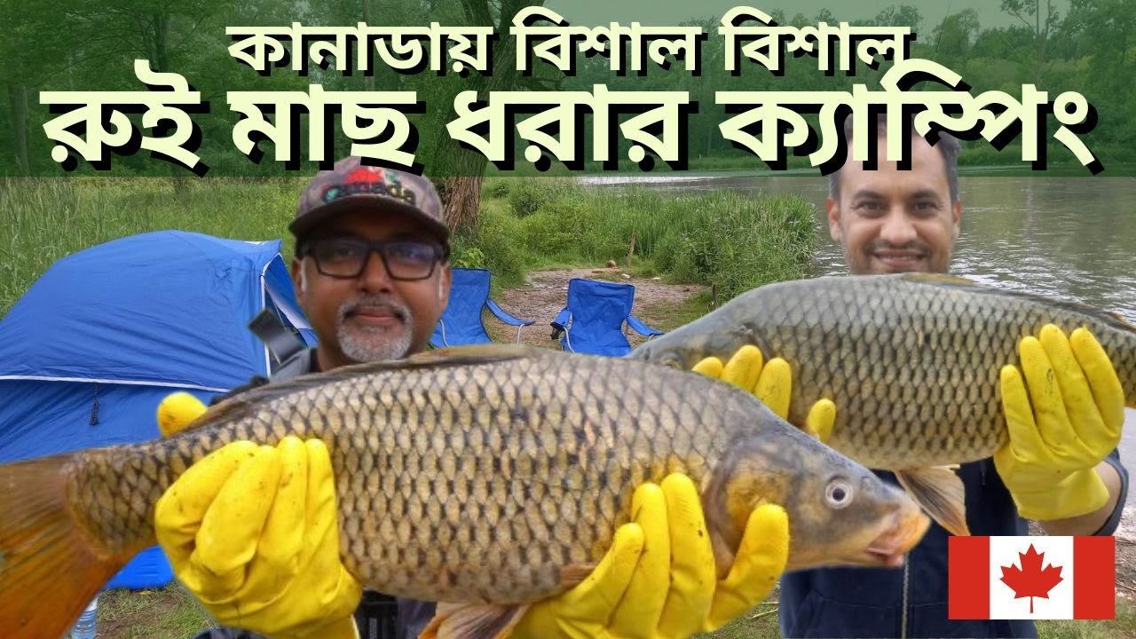 কানাডায় বিশাল বিশাল রুই মাছ ধরার আমাদের ক্যাম্পিং এডভেঞ্চার। মাছের জন্য বহু দূরের পথ পাড়ি দিয়েছিলাম।