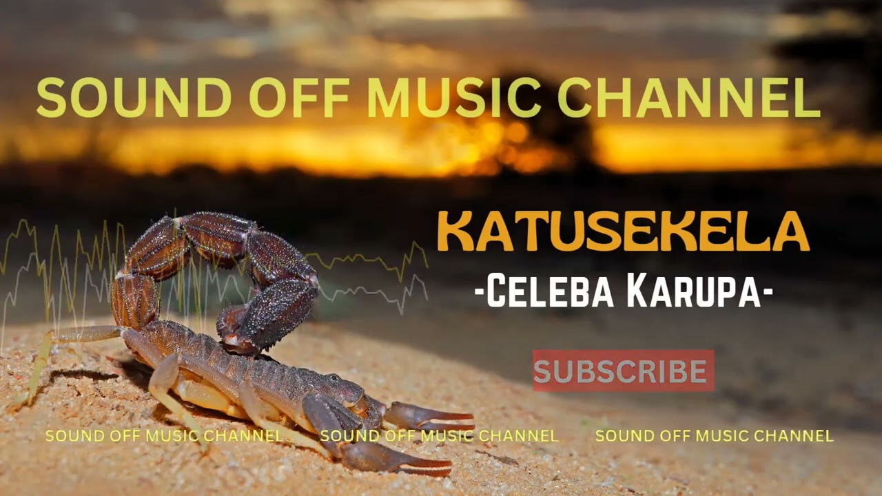 Katusekela 🦂 - Celeba Vehungira Karupa
