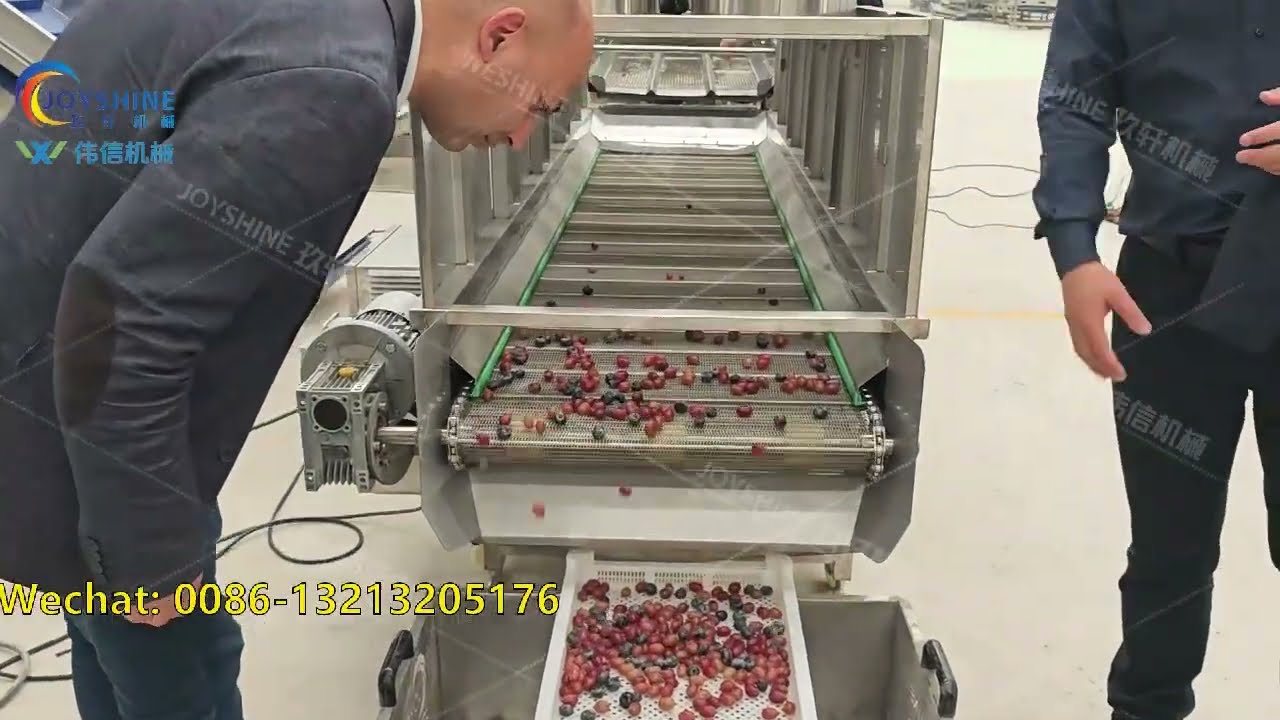 Grape Washing & Drying Line