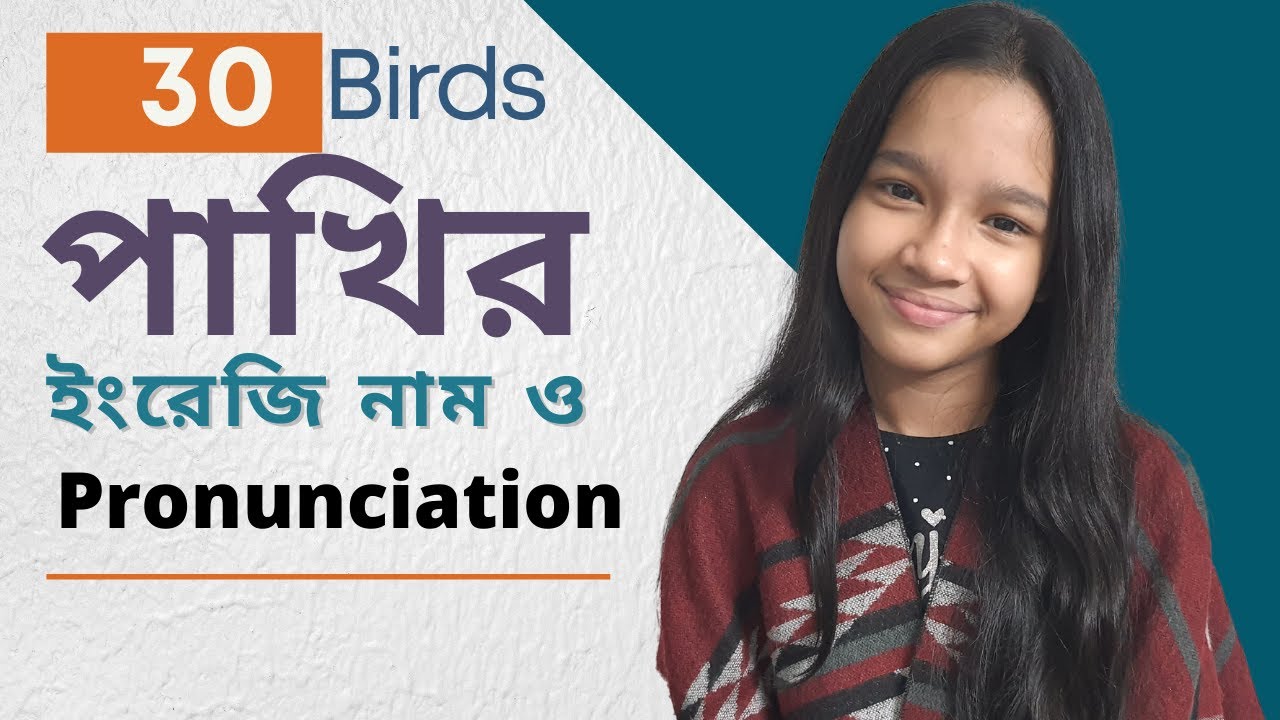 30 Birds Name in English & Pronunciation | English Learning For Kids | Maisuns World |