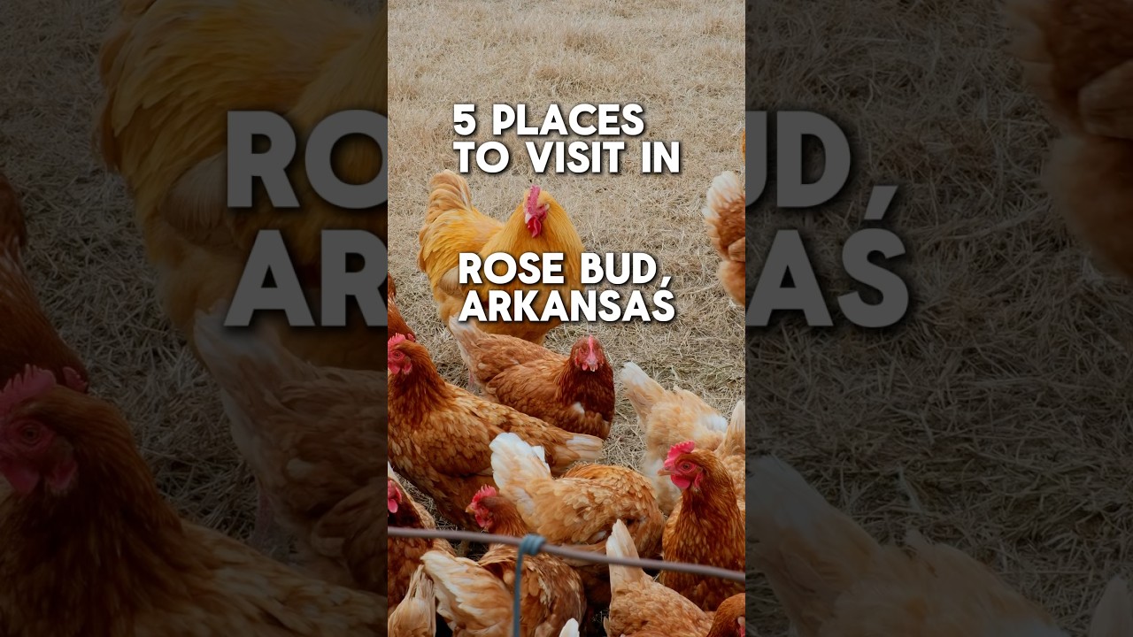 5 places to check out in Rose Bud, Arkansas