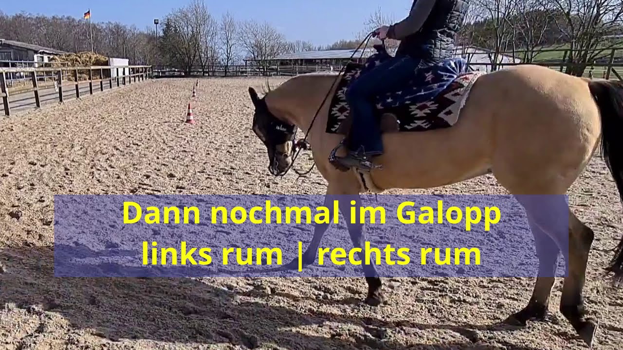 Reittraining | Westernreiten | Reiten