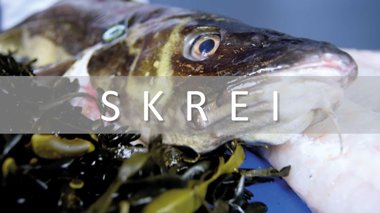 In de promo: Skrei