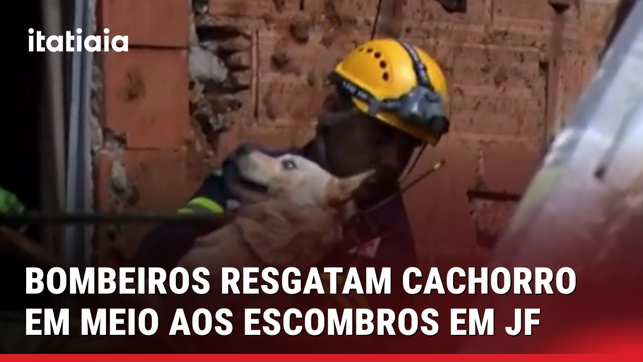 VEJA O MOMENTO EXATO EM QUE BOMBEIRO RESGATAM CACHORRO NOS ESCOMBROS EM JUIZ DE FORA