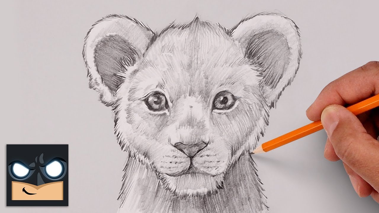 How To Draw Young Mufasa | The Lion King