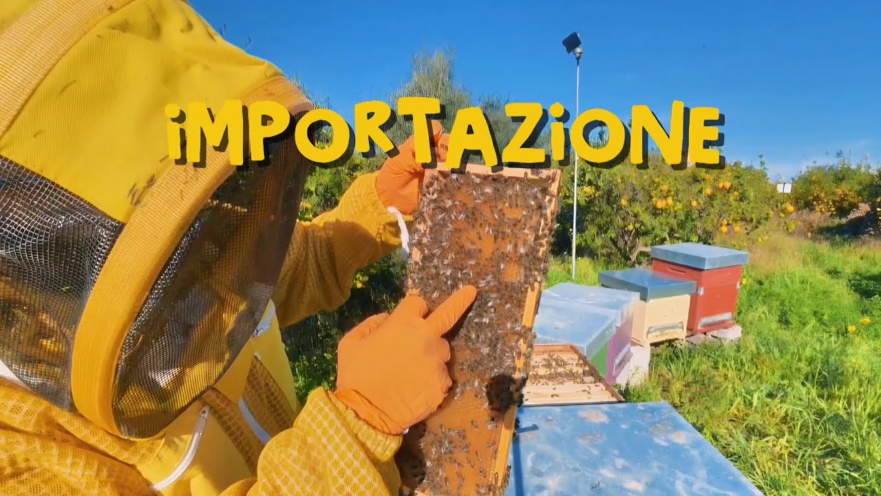 Importazione Primaverile