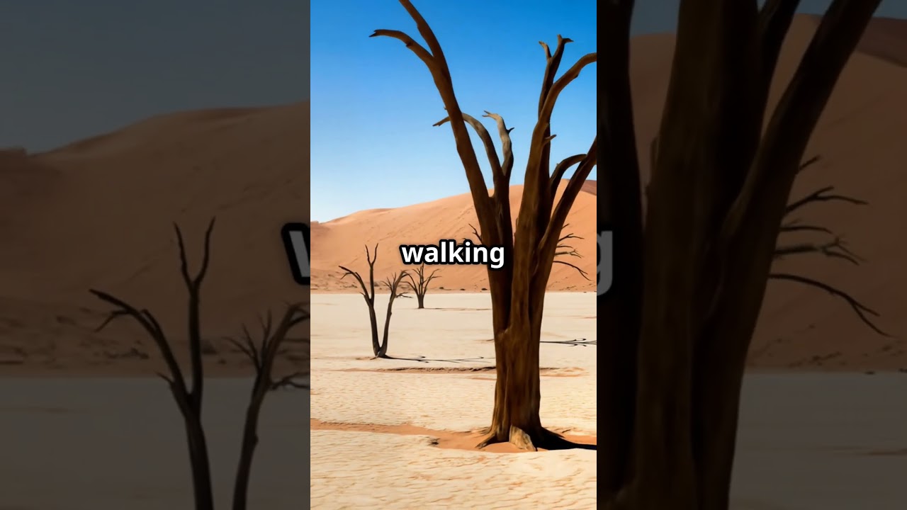 Namibia’s Desert Safari:Dunes, Silence, and Zero Crowds 