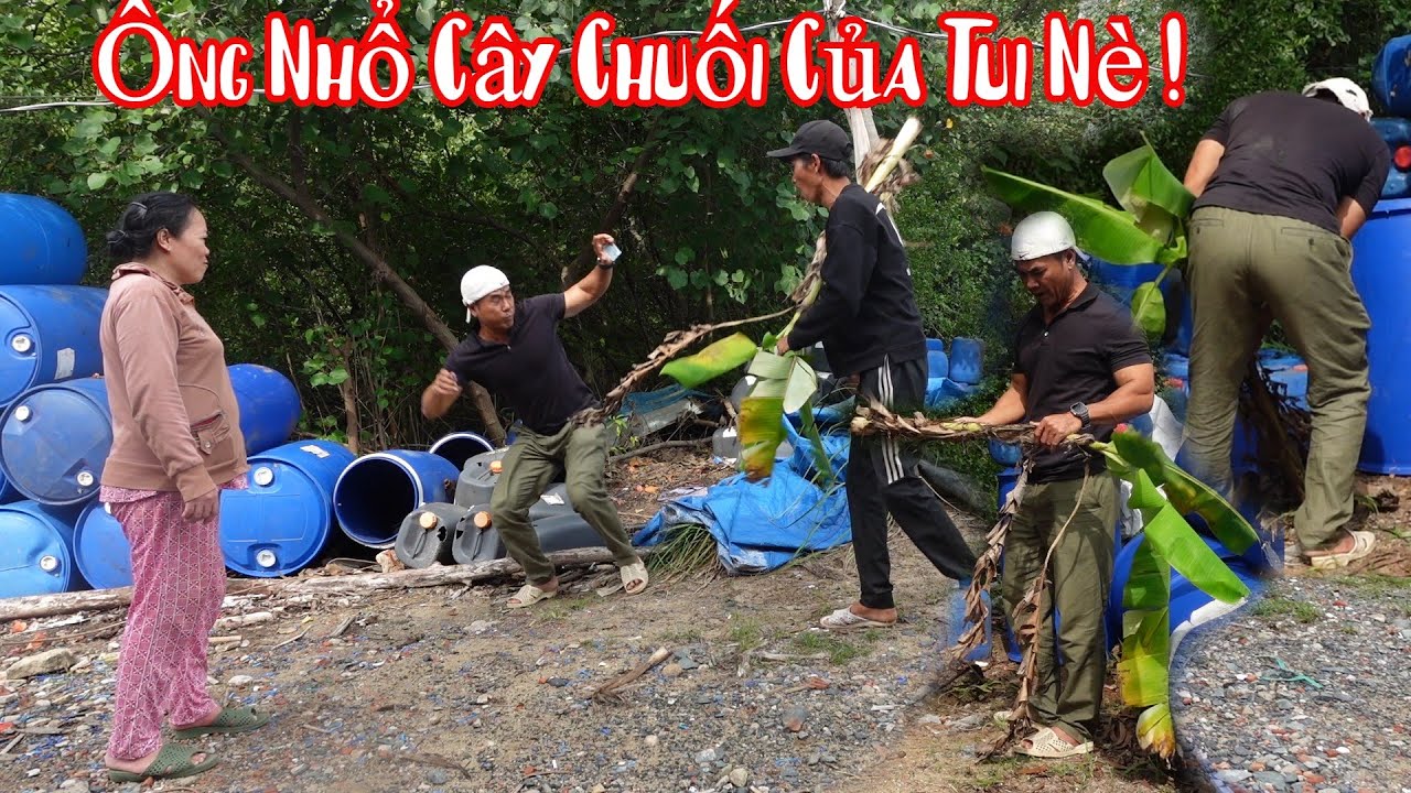 10 Râu Trả Đũa Bằng Cách Nhổ Luôn Cây Chuối Của Bà 8 Phong