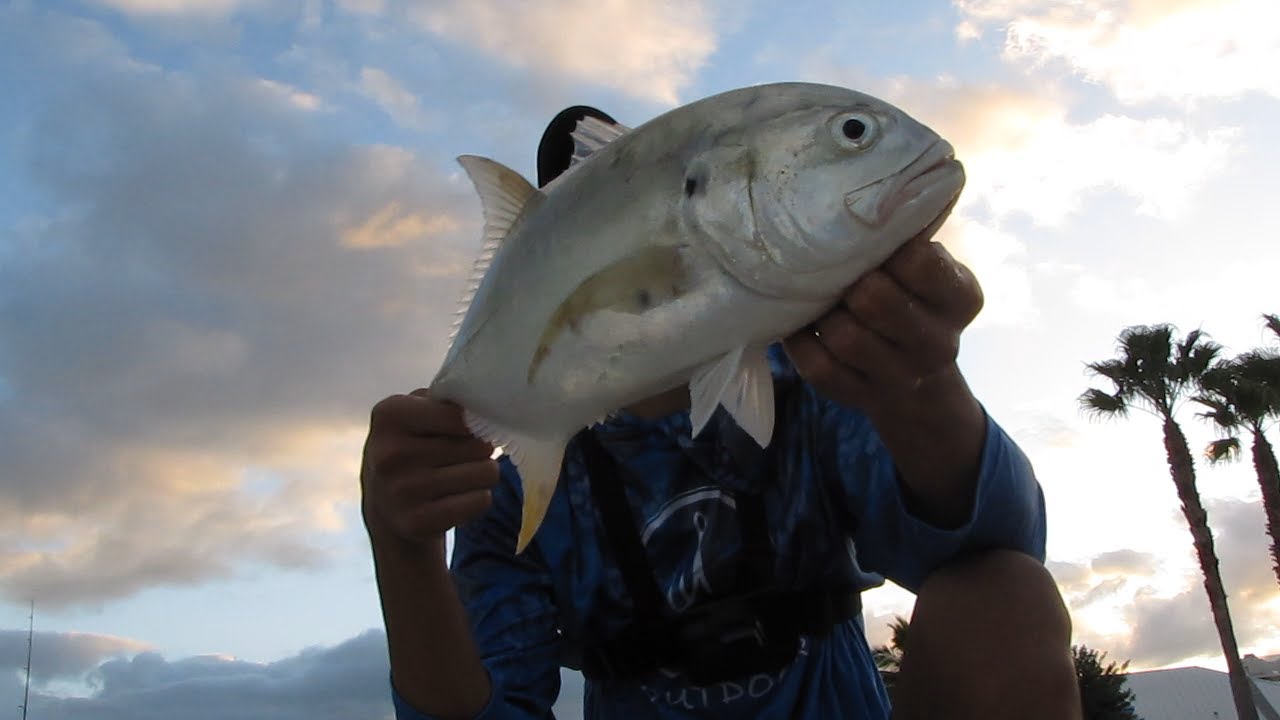 Early morning fishing with live bait!!!!