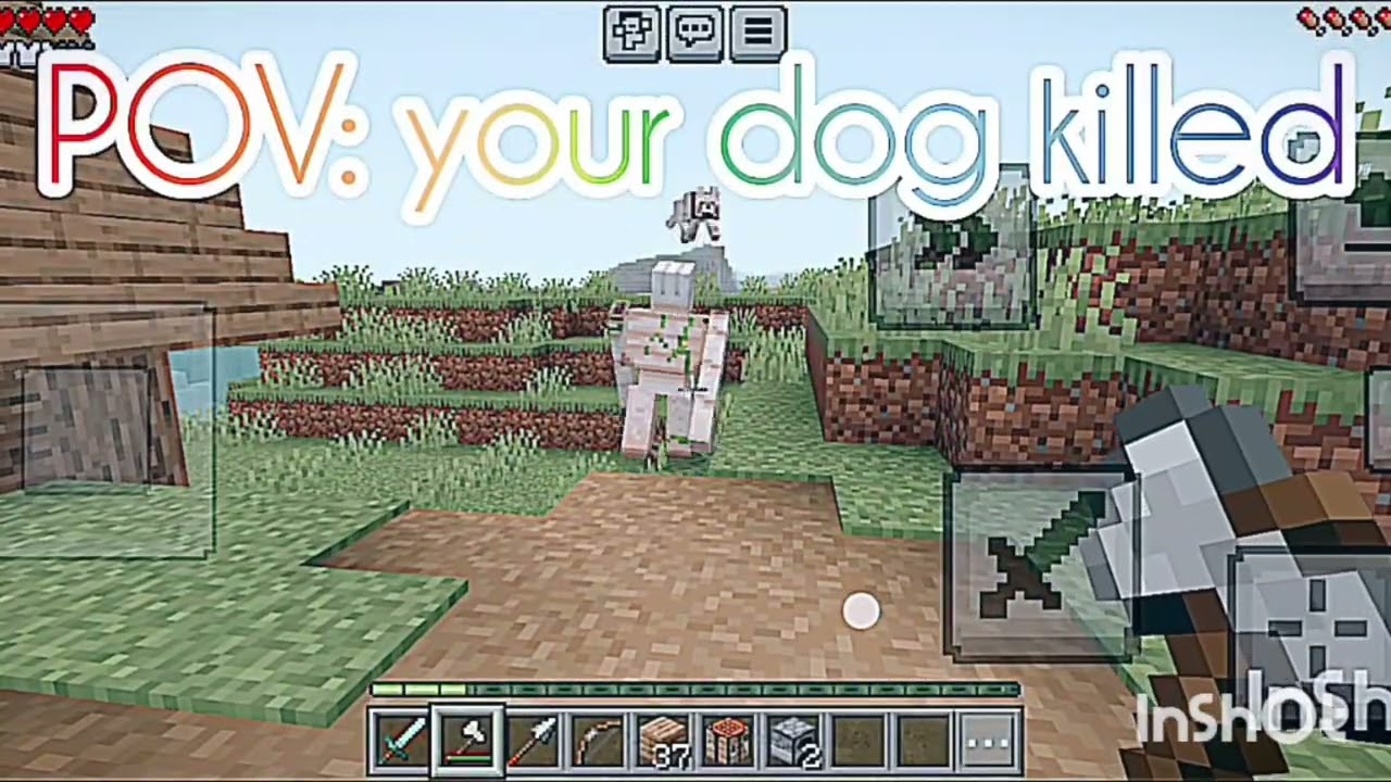 Revenge of my dog 🐶  #minecraft #dog #revenge #iron golem #please subscribe subscribe 👍🏻