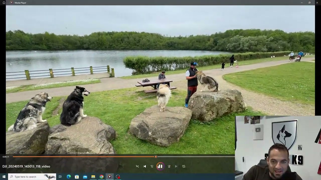 Pro Trainer Certification Test with FOUR Dogs Ian Atkinson 😎!